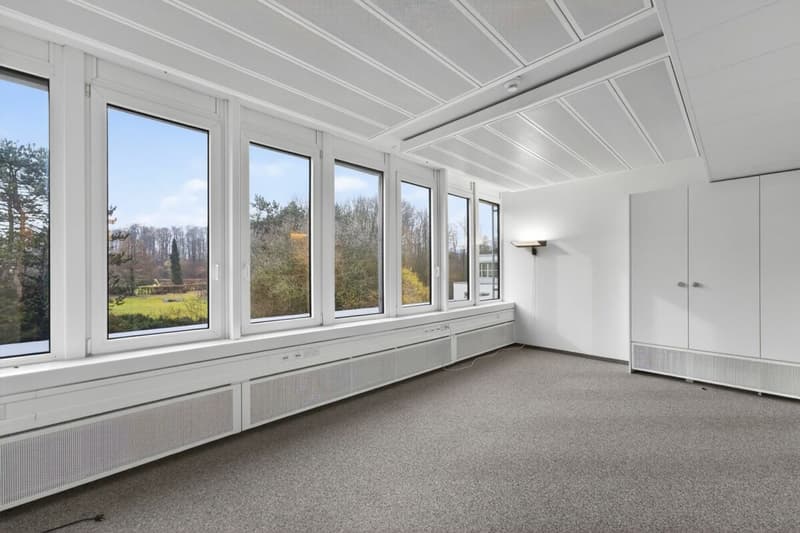 Voll ausgebaute 2'200m² Fläche in einem Gebäude mit attraktiven Büroräumlichkeiten (5)