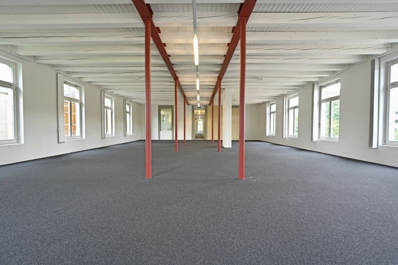 Geschäftslage mit optimaler Anbindung (6)
