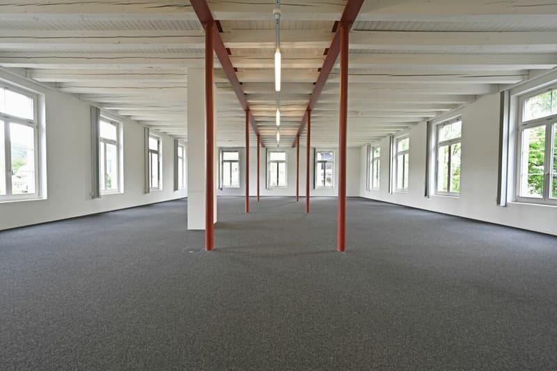 Geschäftslage mit optimaler Anbindung (7)