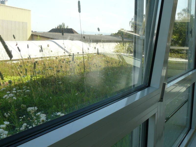 250 m² of commercial and office space (excluding storage room) in Kaiseraugst – attractive rent (4)