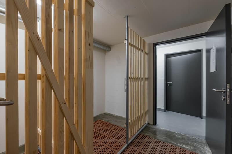 Exklusive 3.5-Zimmer-Neubau-Attikawohnung im Erstbezug - Wohnen wie in den Ferien (16)