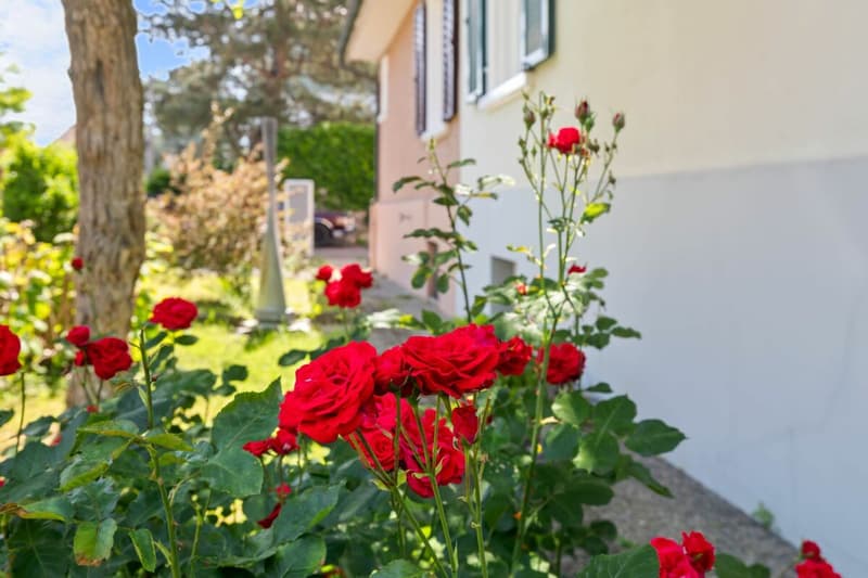 Well-maintained 5-room detached house with garden and workshop in a family-friendly location (17)