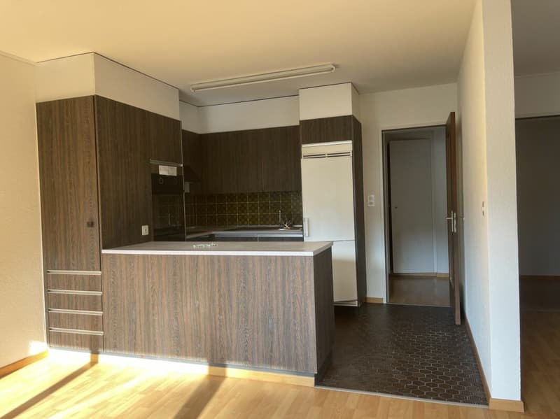 Sonnige 3.5 Zi-Wohnung mit Balkon und Garage (2)