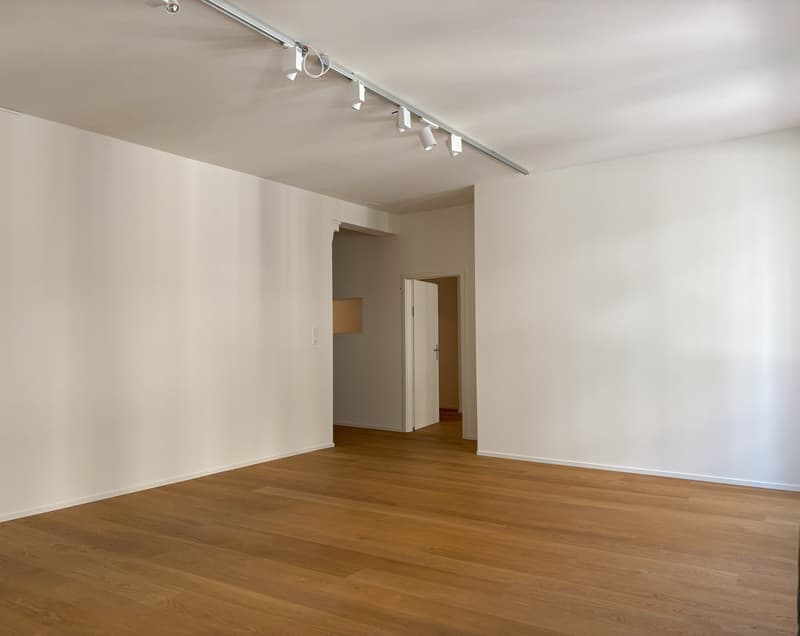 Unique Loft Office / Practice in the Heart of Basel (3)