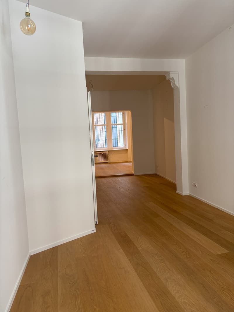 Unique Loft Office / Practice in the Heart of Basel (5)