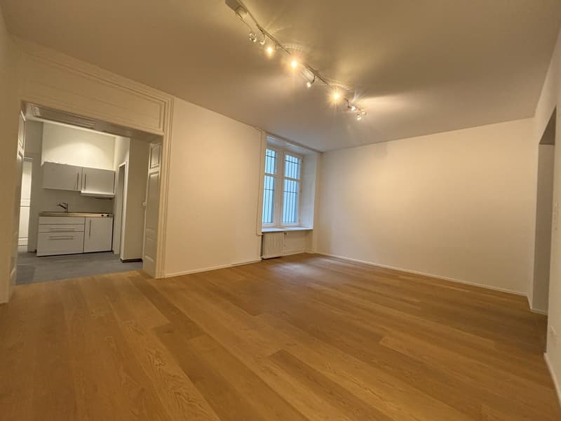 Unique Loft Office / Practice in the Heart of Basel (2)