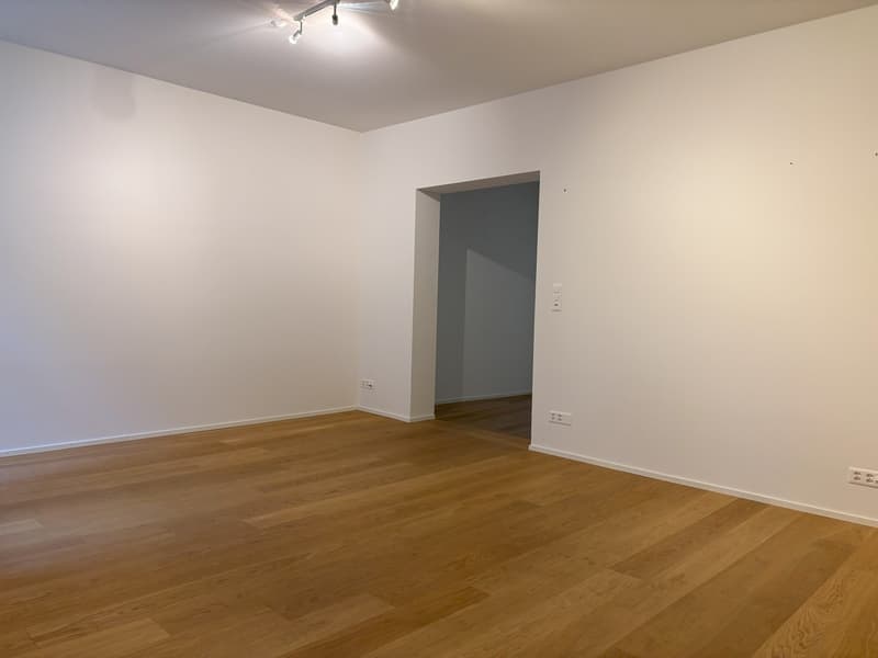 Unique Loft Office / Practice in the Heart of Basel (6)
