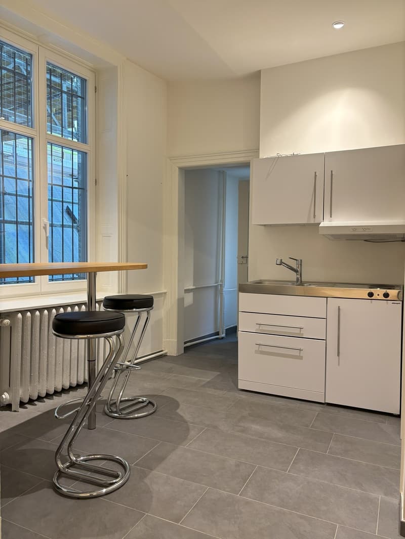 Unique Loft Office / Practice in the Heart of Basel (7)