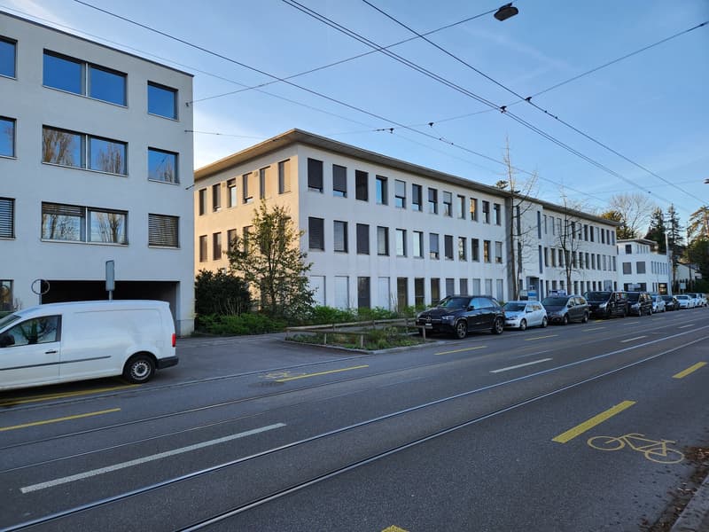 Top Opportunity in the Center of Riehen! (1)