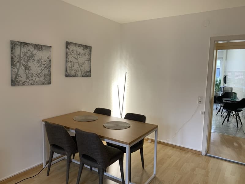 City Centre: modern furnished apartment with lift and large balcony (3)