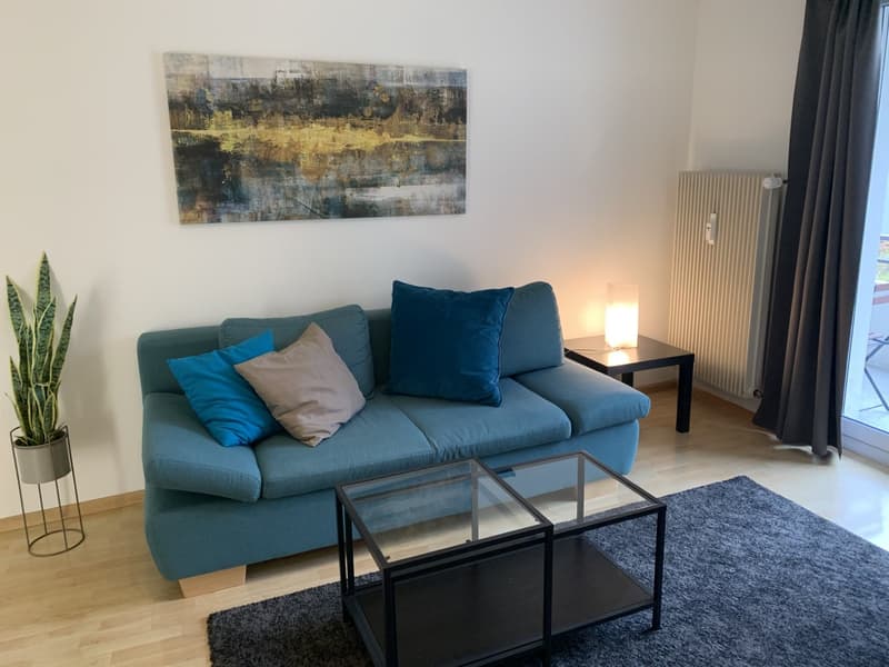 City Centre: modern furnished apartment with lift and large balcony (1)