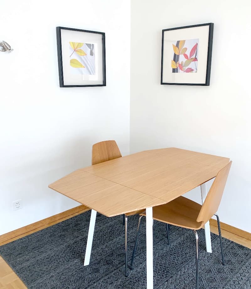 Spacious apartment with unique layout, private garden near historic Spalentor (2)
