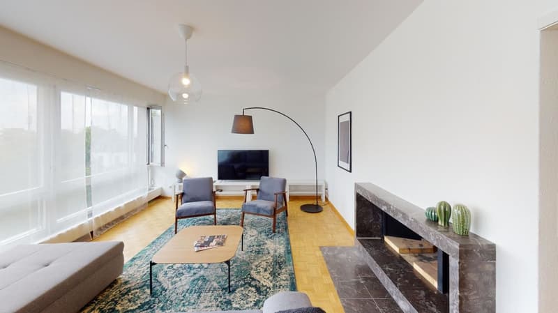 Unique Serviced Living @ Aeschenplatz Copia (2)