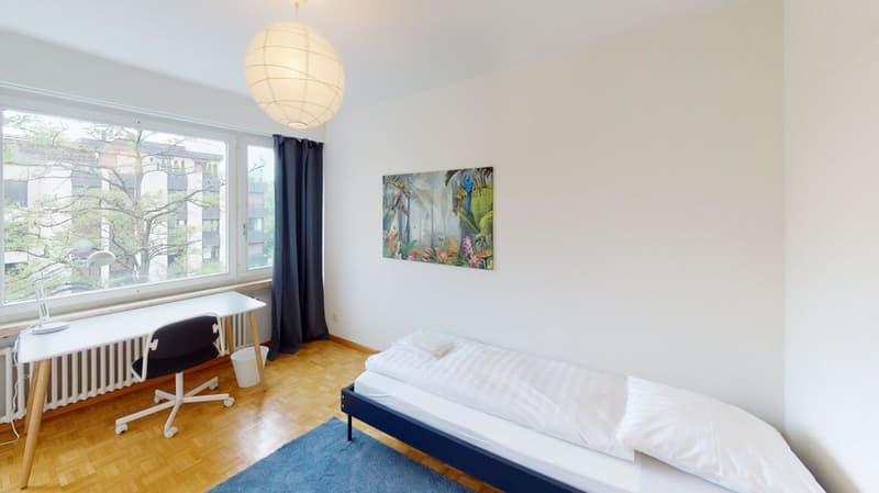 Unique Serviced Living @ Aeschenplatz Copia (5)