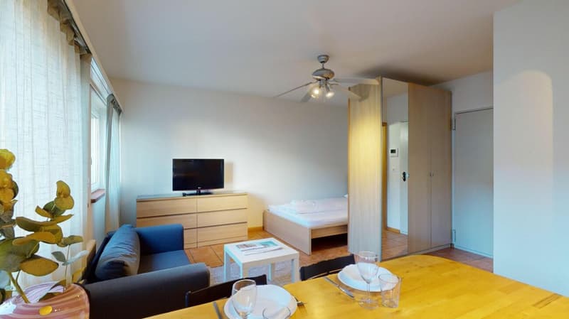 Unique Serviced Living @ Basilea SBB / Gundeldingen Copia (5)