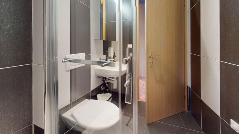 Unique Serviced Living @ Basilea SBB / Gundeldingen Copia (7)