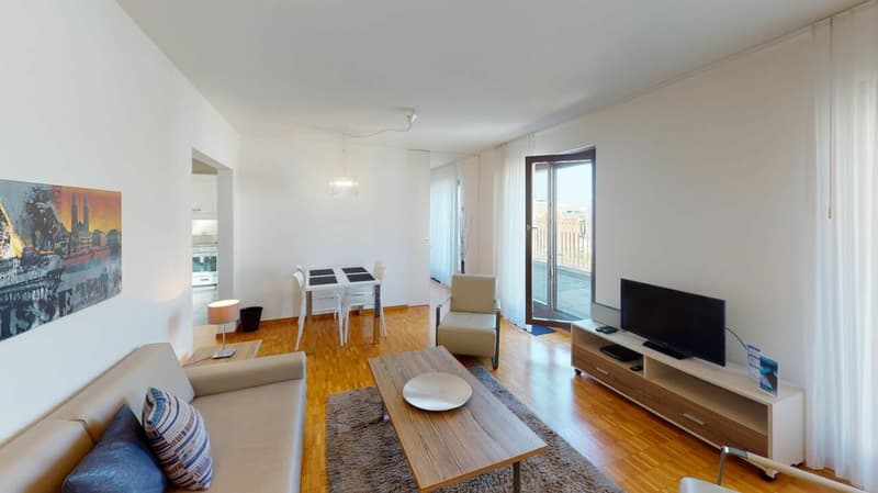 Unique Serviced Living @ Messe Basel Penthouse (3)