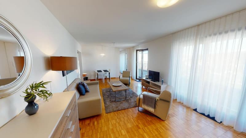 Unique Serviced Living @ Messe Basel Penthouse (2)