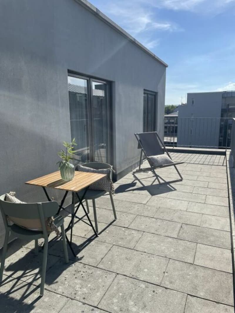 Unique Serviced Living @ Messe Basel Penthouse (5)