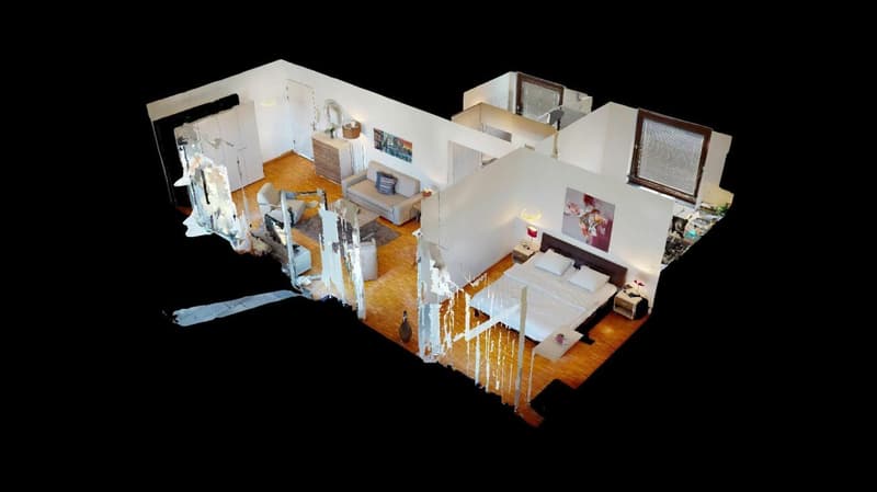 Unique Serviced Living @ Messe Basel Penthouse (8)
