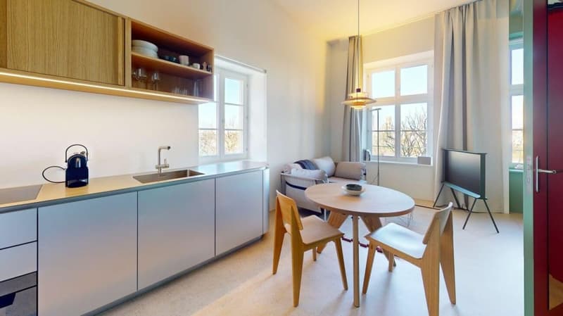 Habiter directement sur le Rhin (St. Alban-Tal) (2)