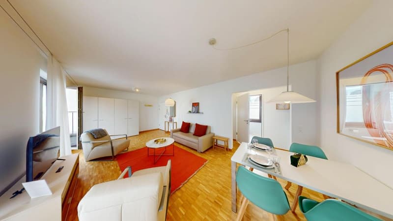 Unique Serviced Living @ Messe Basel Penthouse (2)
