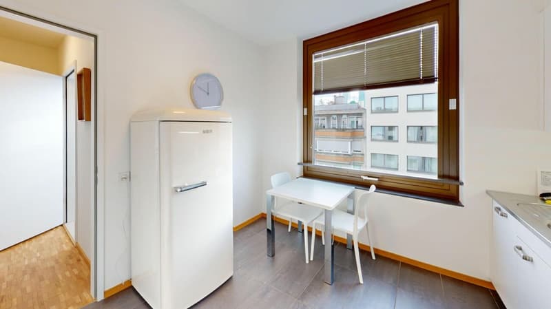 Unique Serviced Living @ Messe Basel Penthouse (6)