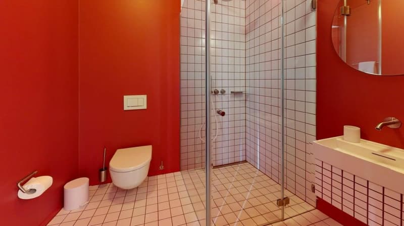 Wohnen direkt am Rhein (St. Alban-Tal) (5)