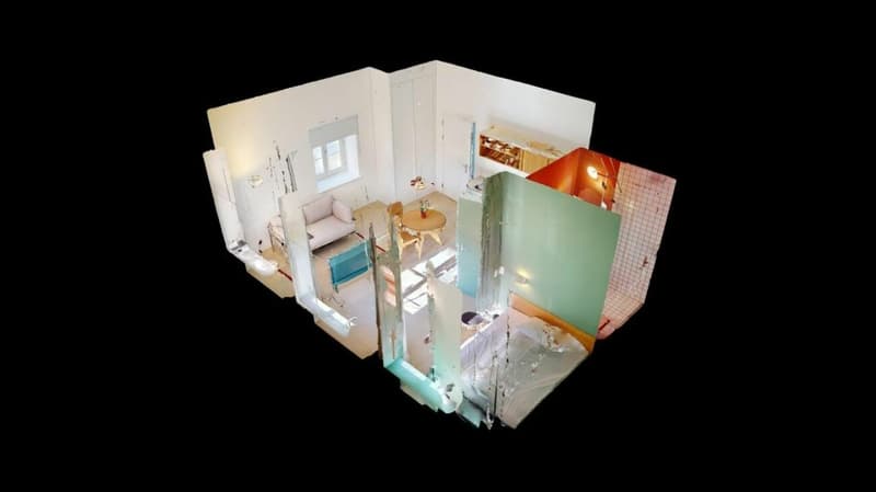 Living Directly on the Rhine in the St. Alban-Tal (9)