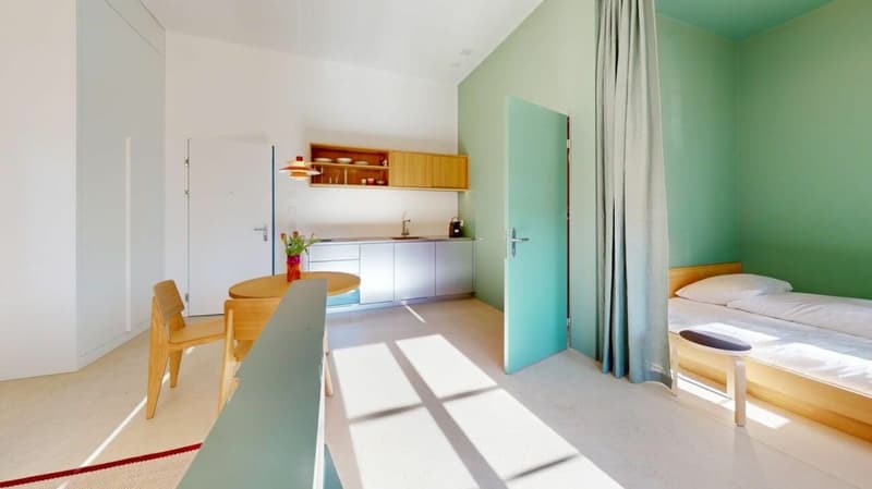 Living Directly on the Rhine in the St. Alban-Tal (4)
