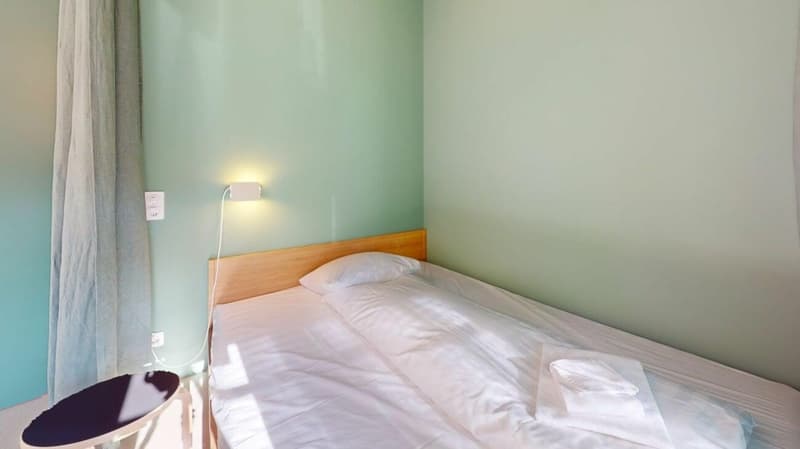 Living Directly on the Rhine in the St. Alban-Tal (5)