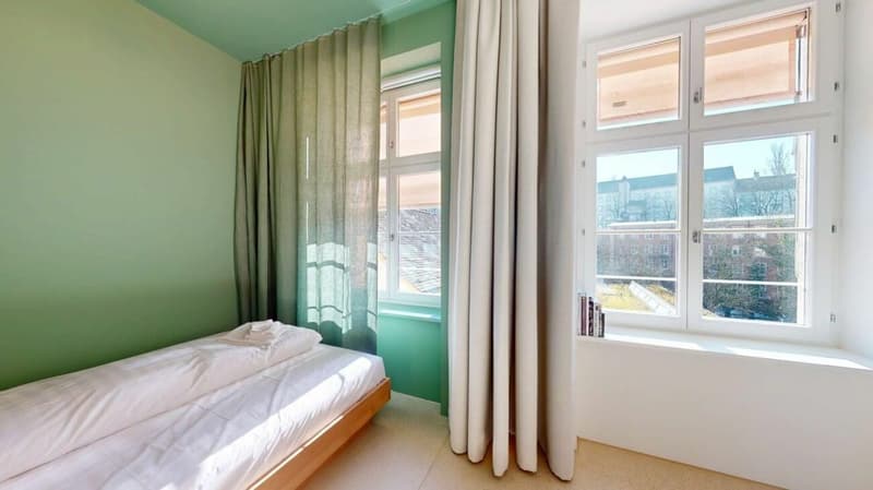 Living Directly on the Rhine in the St. Alban-Tal (3)