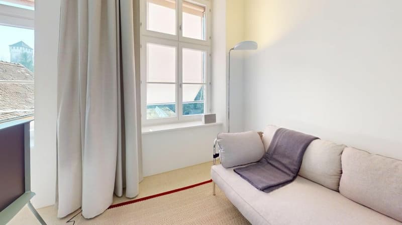 Living Directly on the Rhine in the St. Alban-Tal (7)