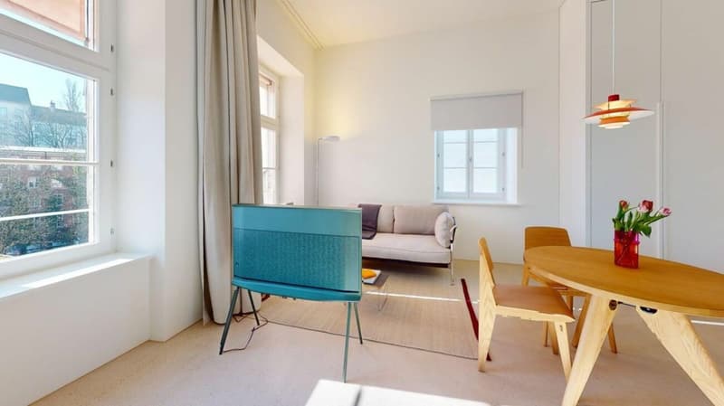 Living Directly on the Rhine in the St. Alban-Tal (2)