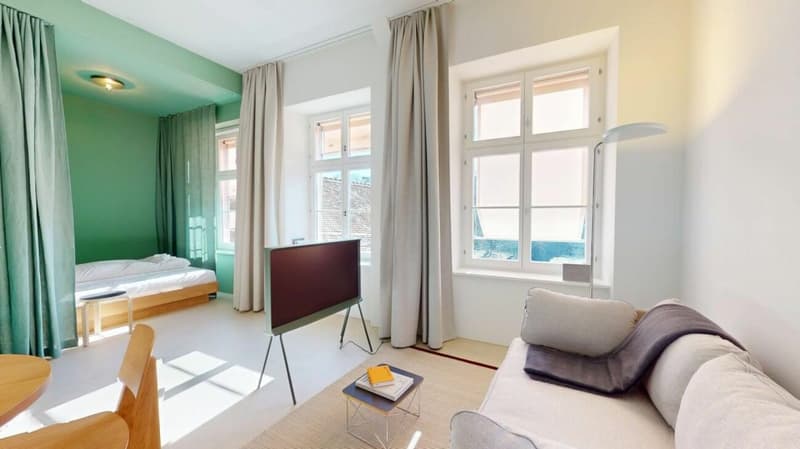 Living Directly on the Rhine in the St. Alban-Tal (1)