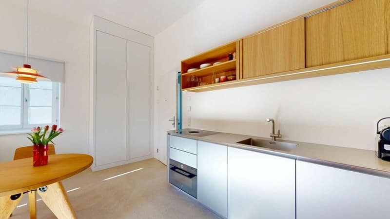 Living Directly on the Rhine in the St. Alban-Tal (6)