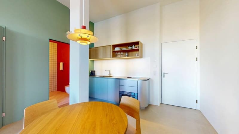 Habiter directement sur le Rhin (St. Alban-Tal) (3)