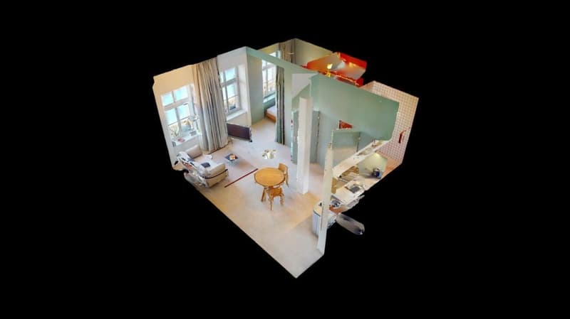 Habiter directement sur le Rhin (St. Alban-Tal) (8)