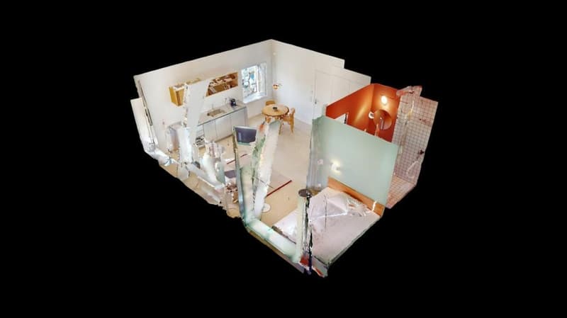 Habiter directement sur le Rhin (St. Alban-Tal) (8)