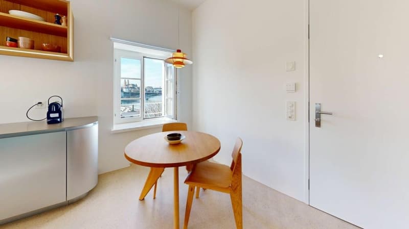 Habiter directement sur le Rhin (St. Alban-Tal) (4)