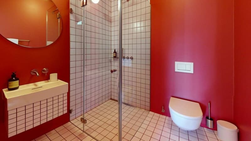 Habiter directement sur le Rhin (St. Alban-Tal) (7)