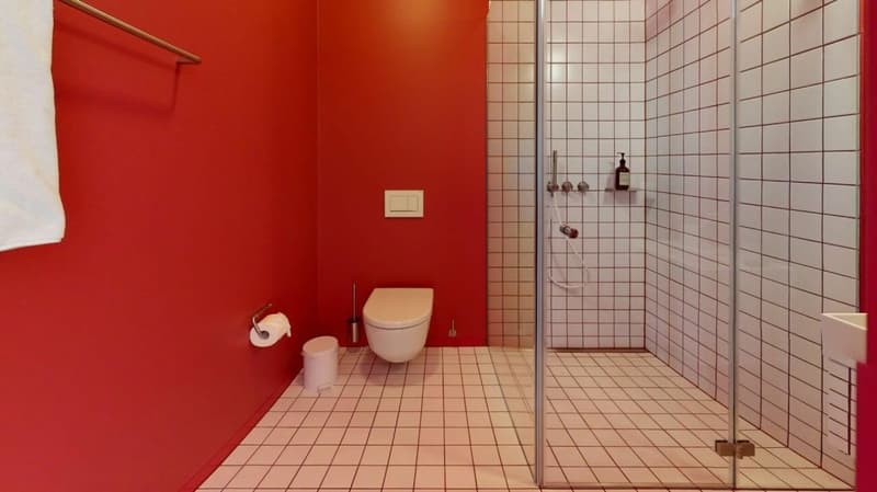 Habiter directement sur le Rhin (St. Alban-Tal) (4)