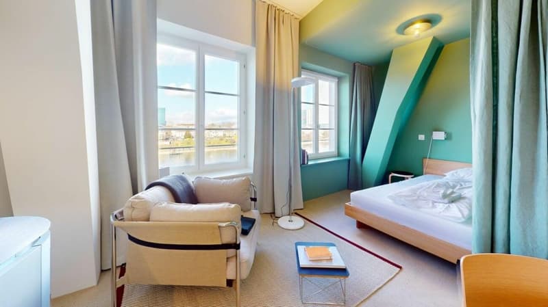 Habiter directement sur le Rhin (St. Alban-Tal) (1)