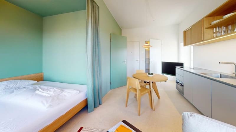 Habiter directement sur le Rhin (St. Alban-Tal) (3)