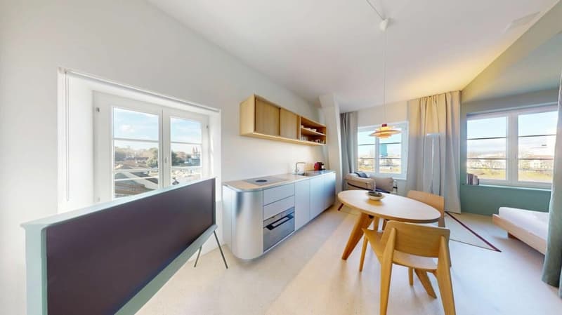 Habiter directement sur le Rhin (St. Alban-Tal) (2)