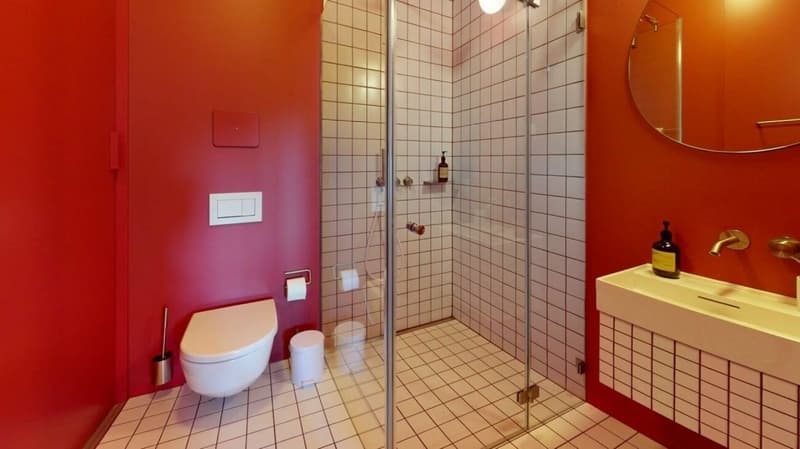 Habiter directement sur le Rhin (St. Alban-Tal) (4)
