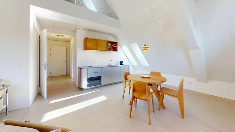 Habiter directement sur le Rhin (St. Alban-Tal) (1)