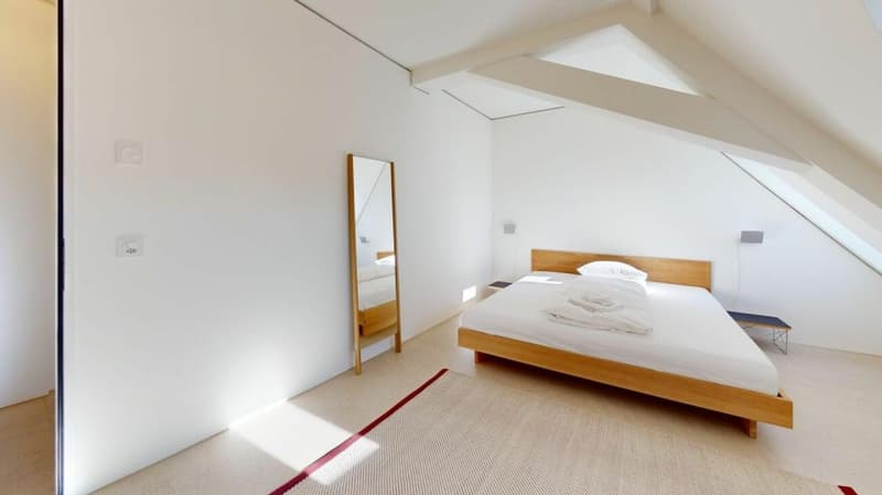 Habiter directement sur le Rhin (St. Alban-Tal) (3)