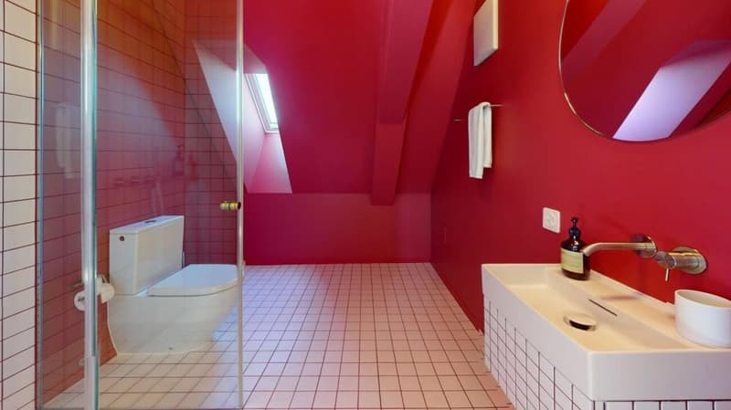 Habiter directement sur le Rhin (St. Alban-Tal) (4)