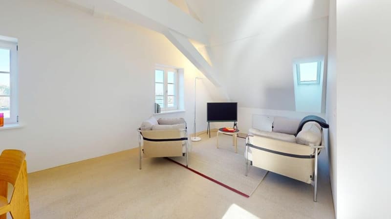 Habiter directement sur le Rhin (St. Alban-Tal) (2)